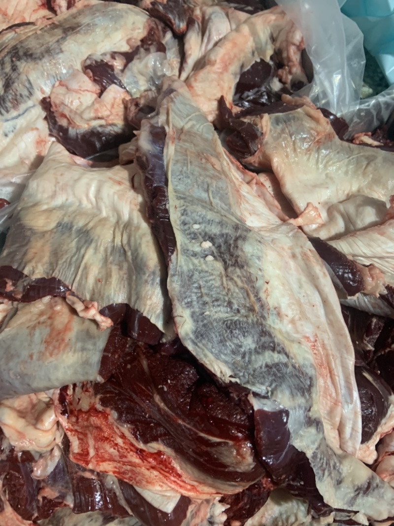 国产纯干逻辑肉牛腹肉牛腩肉证件齐全厂家直供