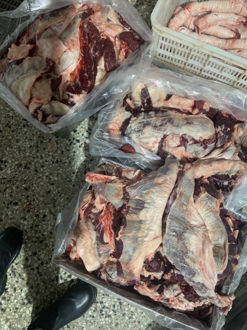 国产纯干逻辑肉牛腹肉牛腩肉证件齐全厂家直供