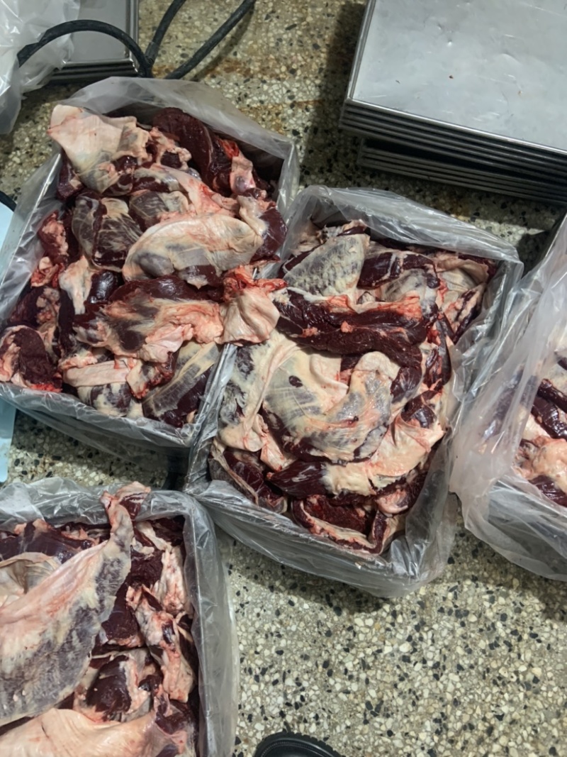 国产纯干逻辑肉牛腹肉牛腩肉证件齐全厂家直供