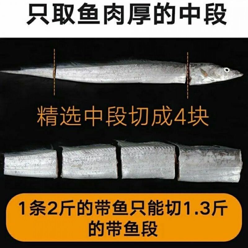 精选带鱼段连云港本地黄海小眼带鱼去头去尾特级工厂发货