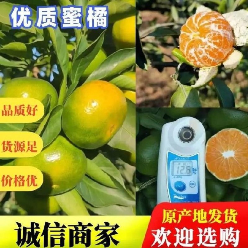 严选湖北蜜橘柑桔普早电商社团市场外贸美团多多