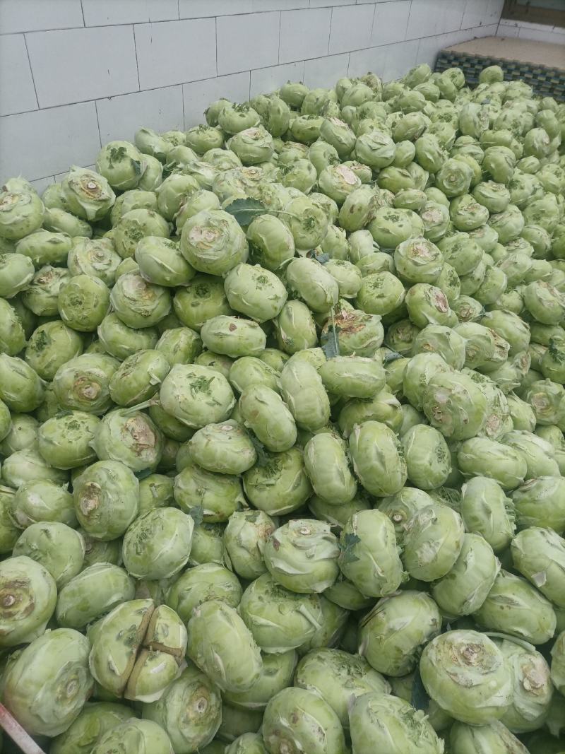 丕蓝菜