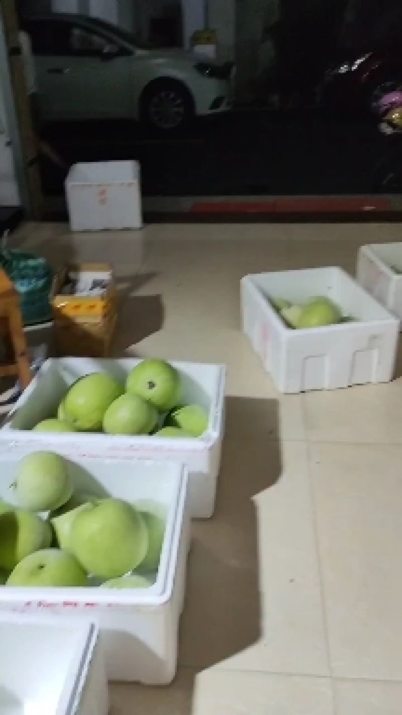台湾香芋冬瓜，