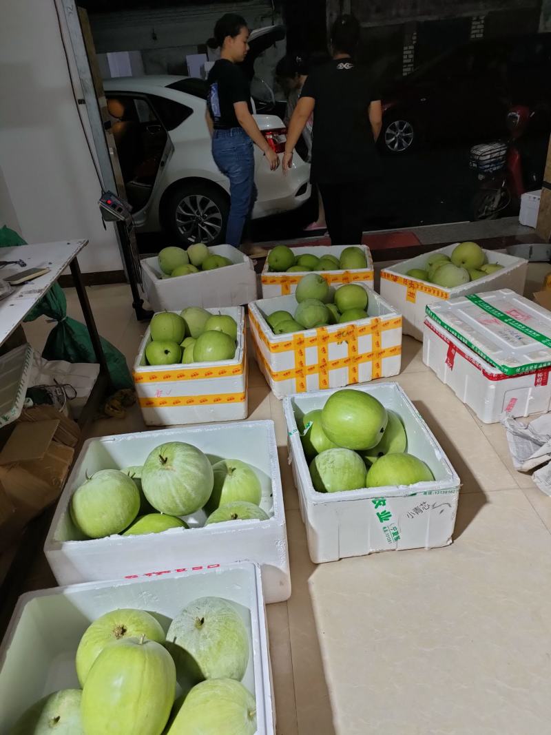 台湾香芋冬瓜，
