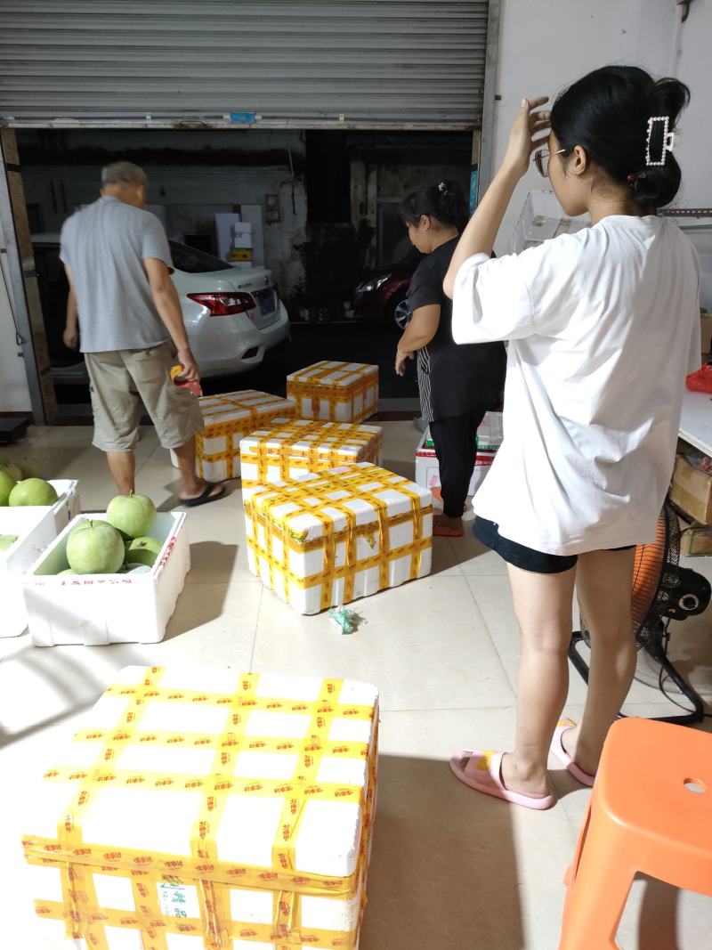 台湾香芋冬瓜，