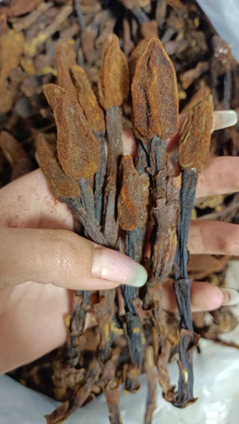 回春草，神仙小草，还阳草，顶天柱，云南野生不老草2斤包邮