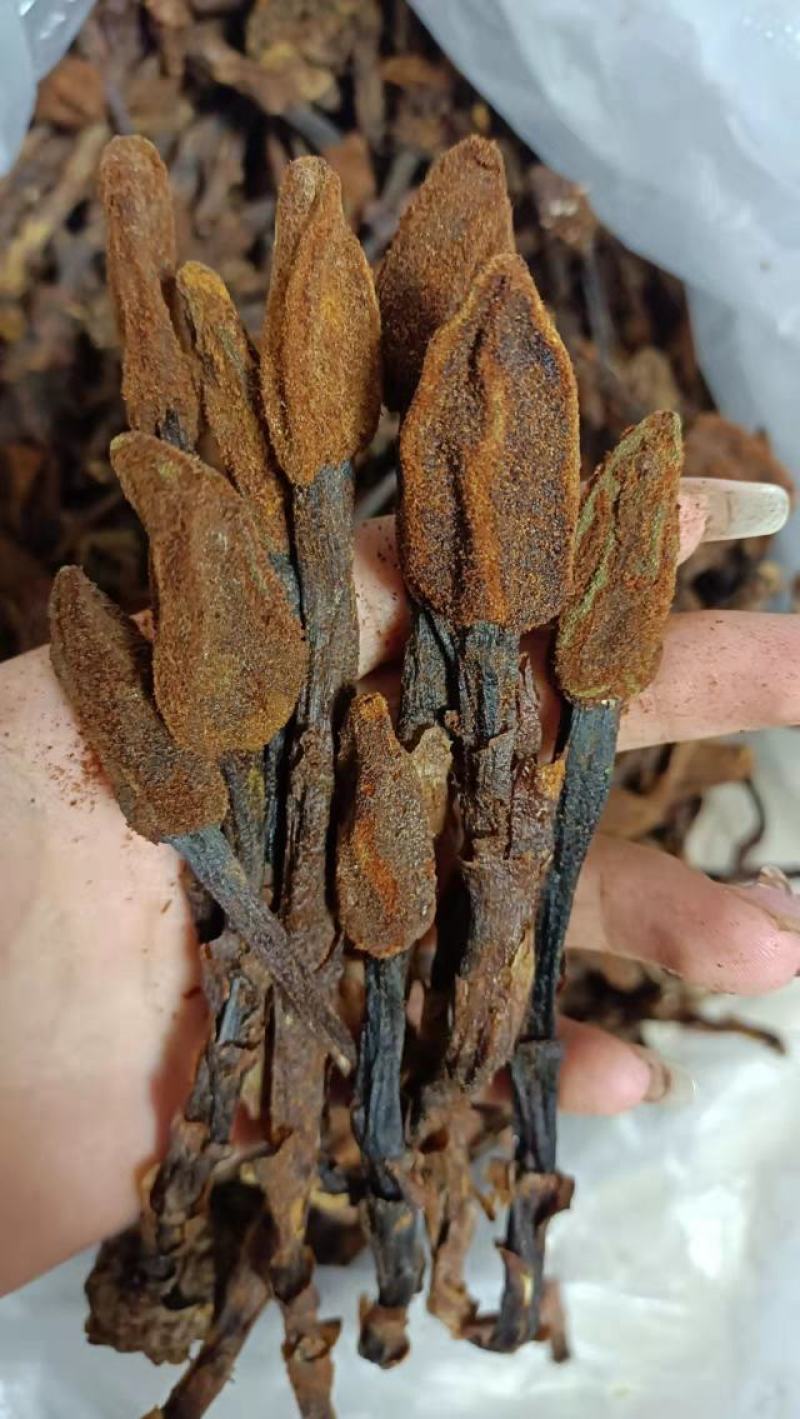 回春草，神仙小草，还阳草，顶天柱，云南野生不老草2斤包邮