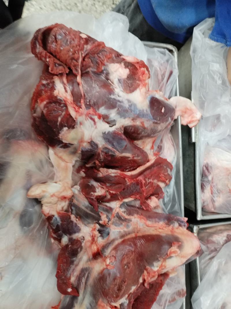 牛前腱