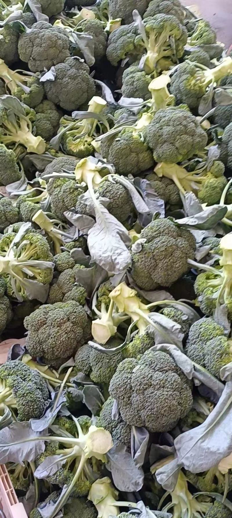青花菜