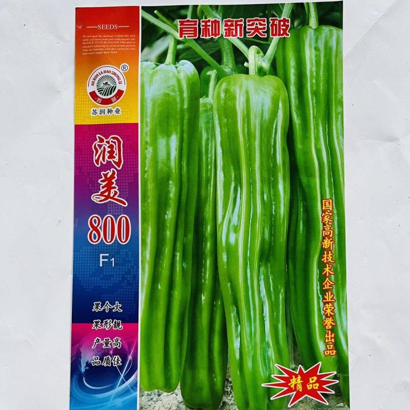 润美800薄皮椒种子苏润黄绿竖条纹薄皮泡椒灯笼椒皱皮辣椒
