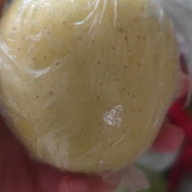 黄金维纳斯苹果
