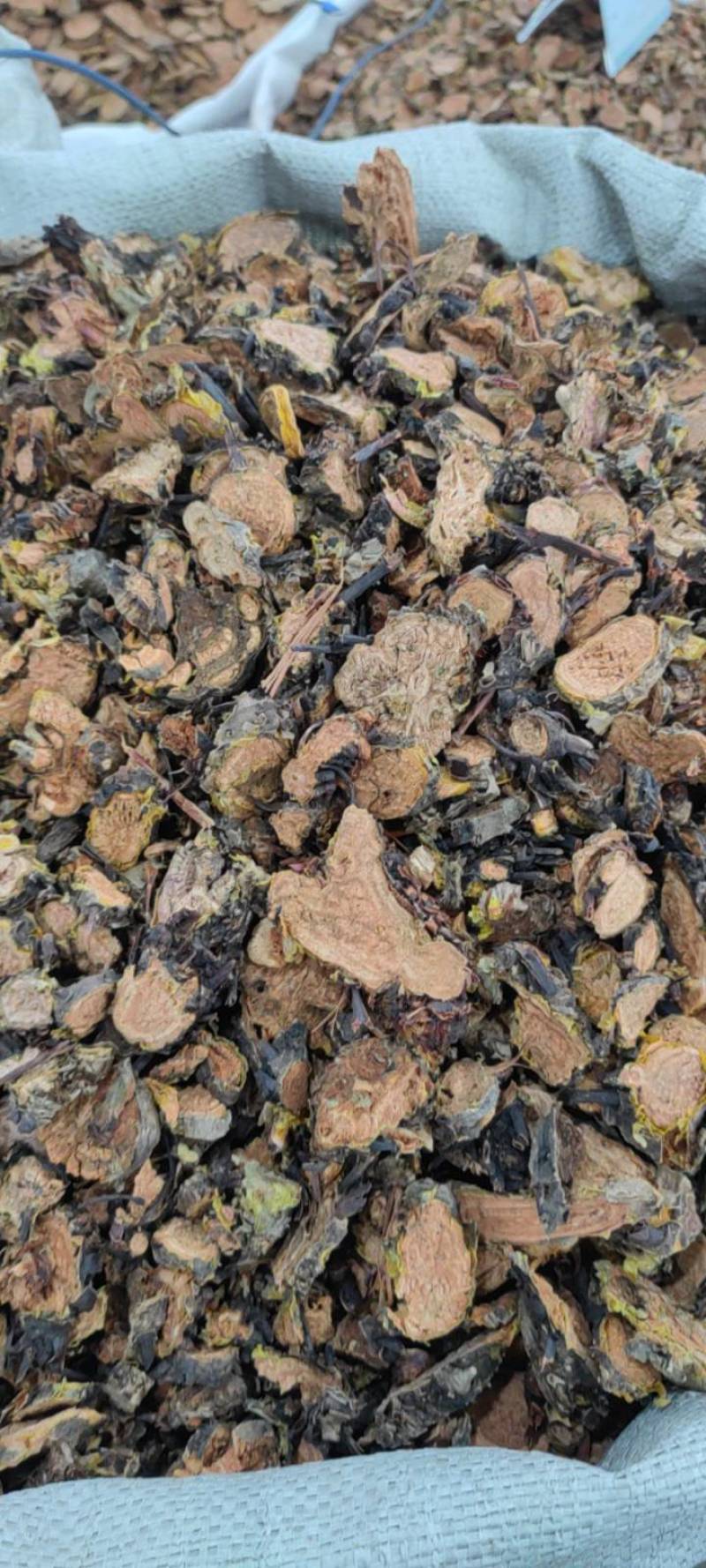 红景天新货批发各种中药材大货批发中