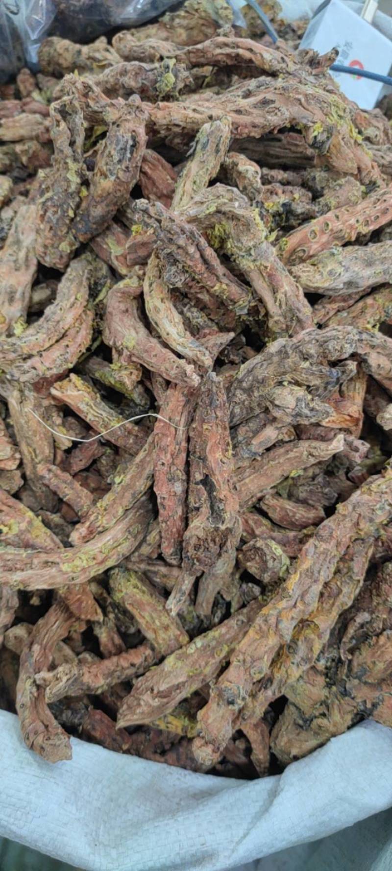 红景天新货批发各种中药材大货批发中