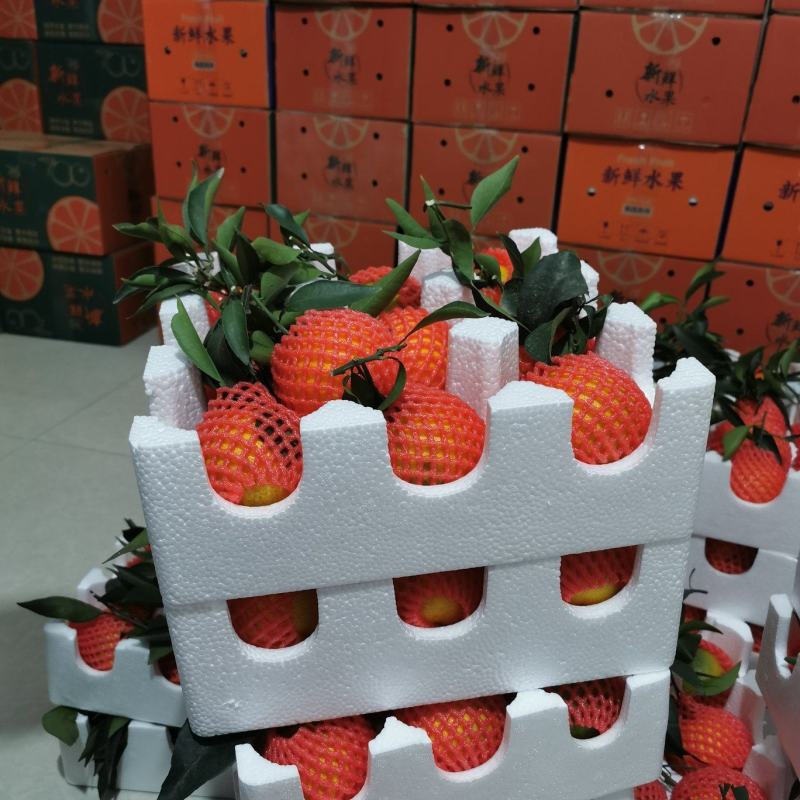 爱媛果冻橙。套袋果一件代发，当天采摘当天发货