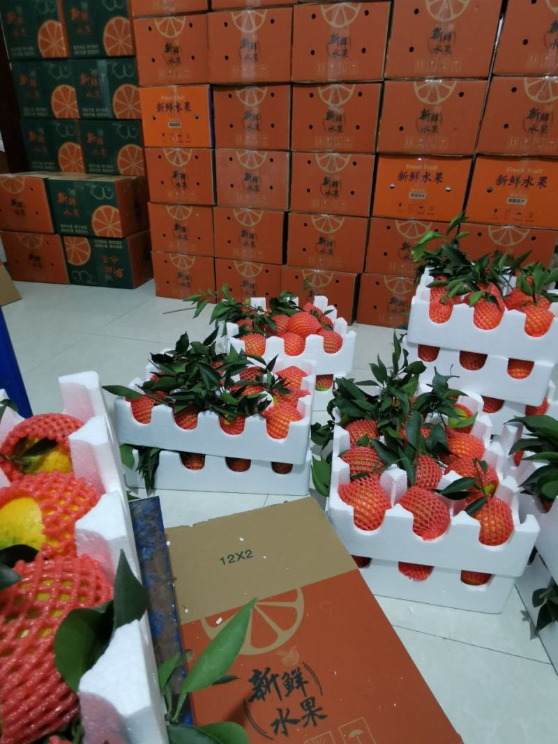 爱媛果冻橙。套袋果一件代发，当天采摘当天发货