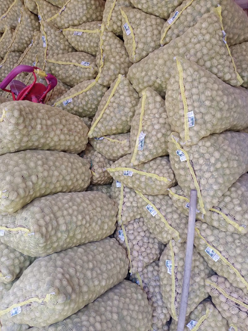 核桃
