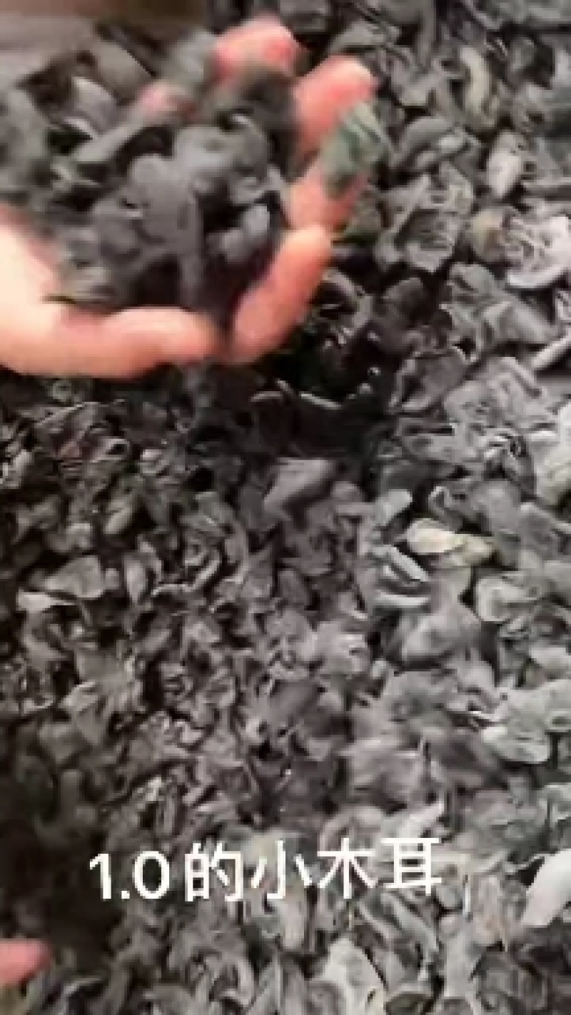 散装坚果藕粉，跑江湖好产品，吃票子的产品……产品多多多