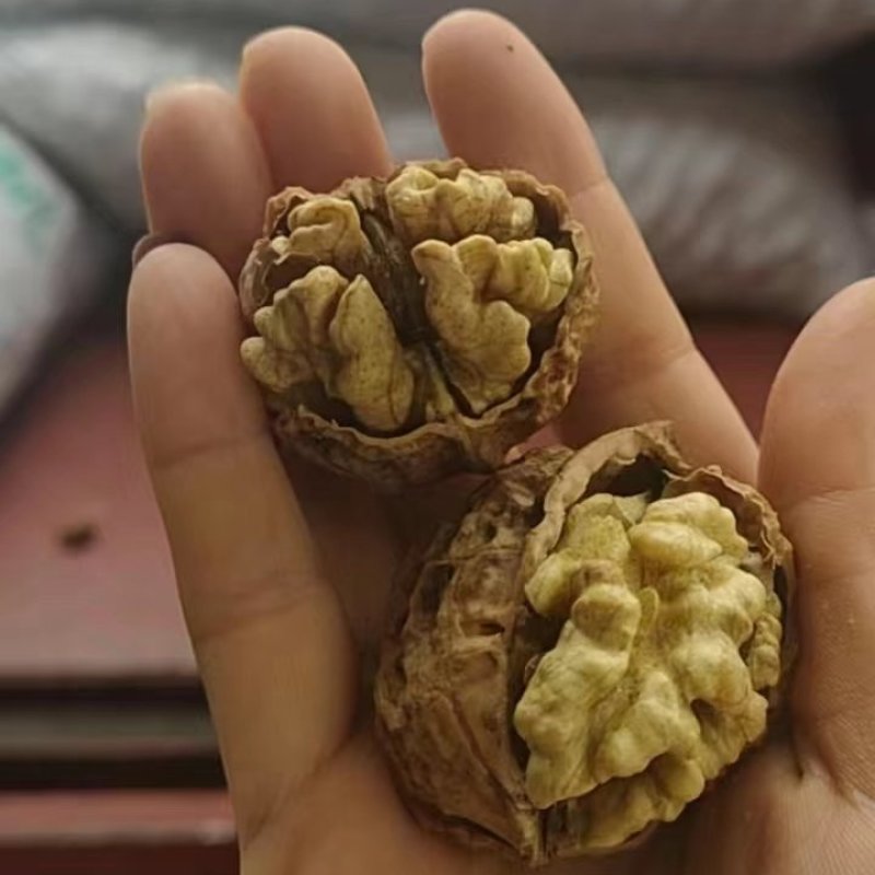 散装坚果藕粉，跑江湖好产品，吃票子的产品……产品多多多