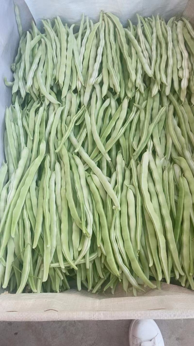 精品芸豆，白不老，绿无丝，白无丝，价格实惠，品质兼优。