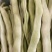 精品芸豆，白不老，绿无丝，白无丝，价格实惠，品质兼优。