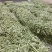 精品芸豆，白不老，绿无丝，白无丝，价格实惠，品质兼优。