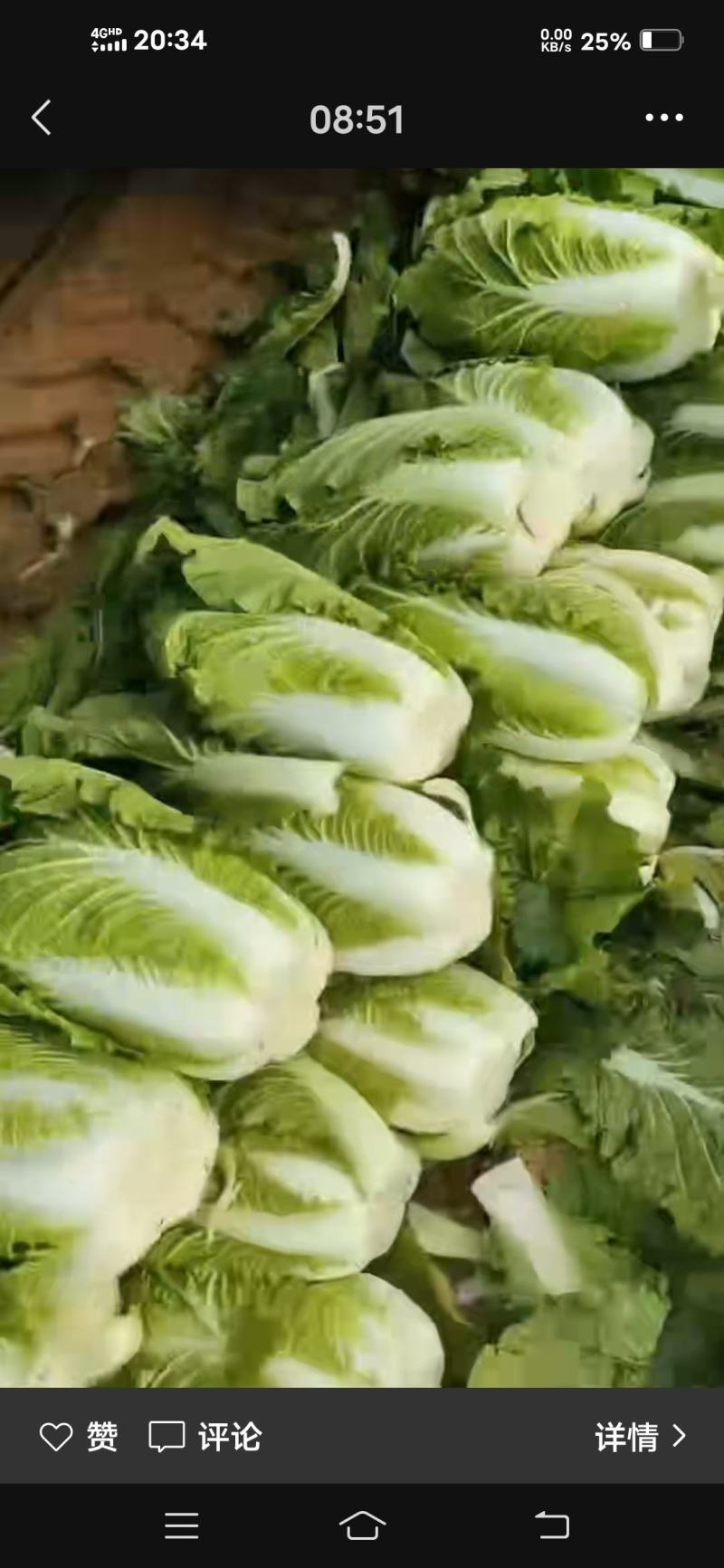 白心大白菜，黄心大大白菜，储存时间长，