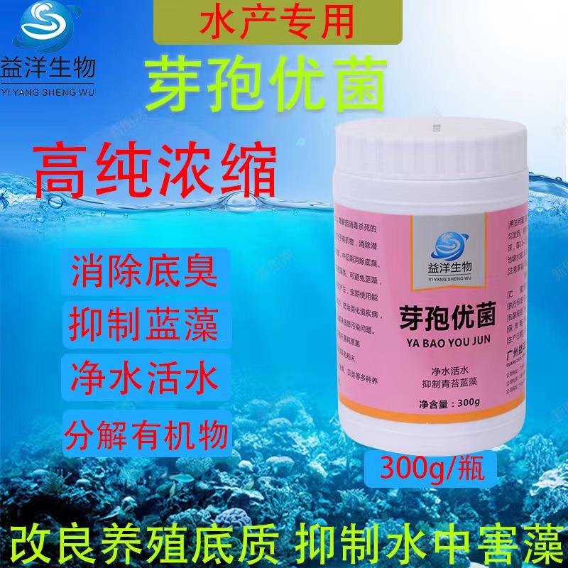 水产养殖饲料添加剂保肝活力素鱼虾蟹蛙类