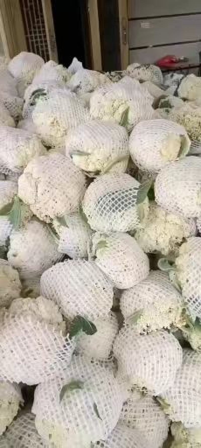 精品有机花，菜花花菜。产地直发，价格优惠。质量保证。