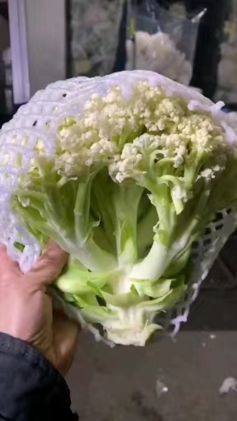 精品有机花，菜花花菜。产地直发，价格优惠。质量保证。