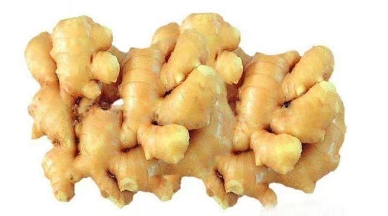 精品大姜，产地直发，诚信可靠，价格实惠，质量保证。