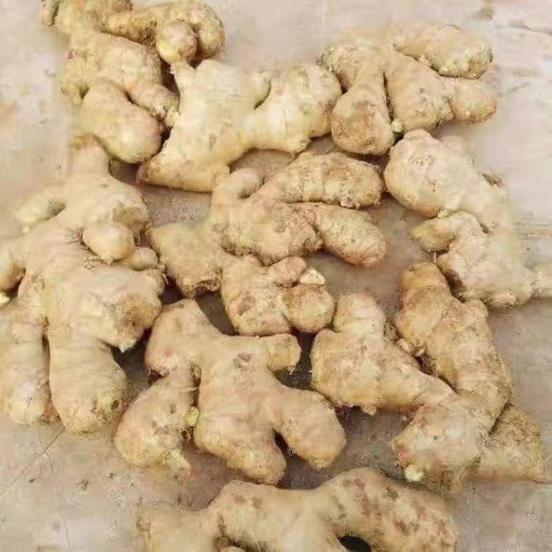 精品大姜，产地直发，诚信可靠，价格实惠，质量保证。