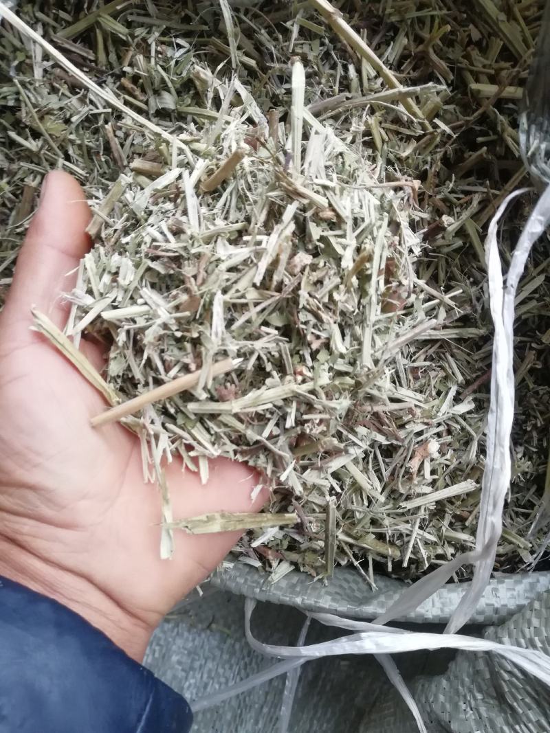 花生秧牛羊最爱吃的草料