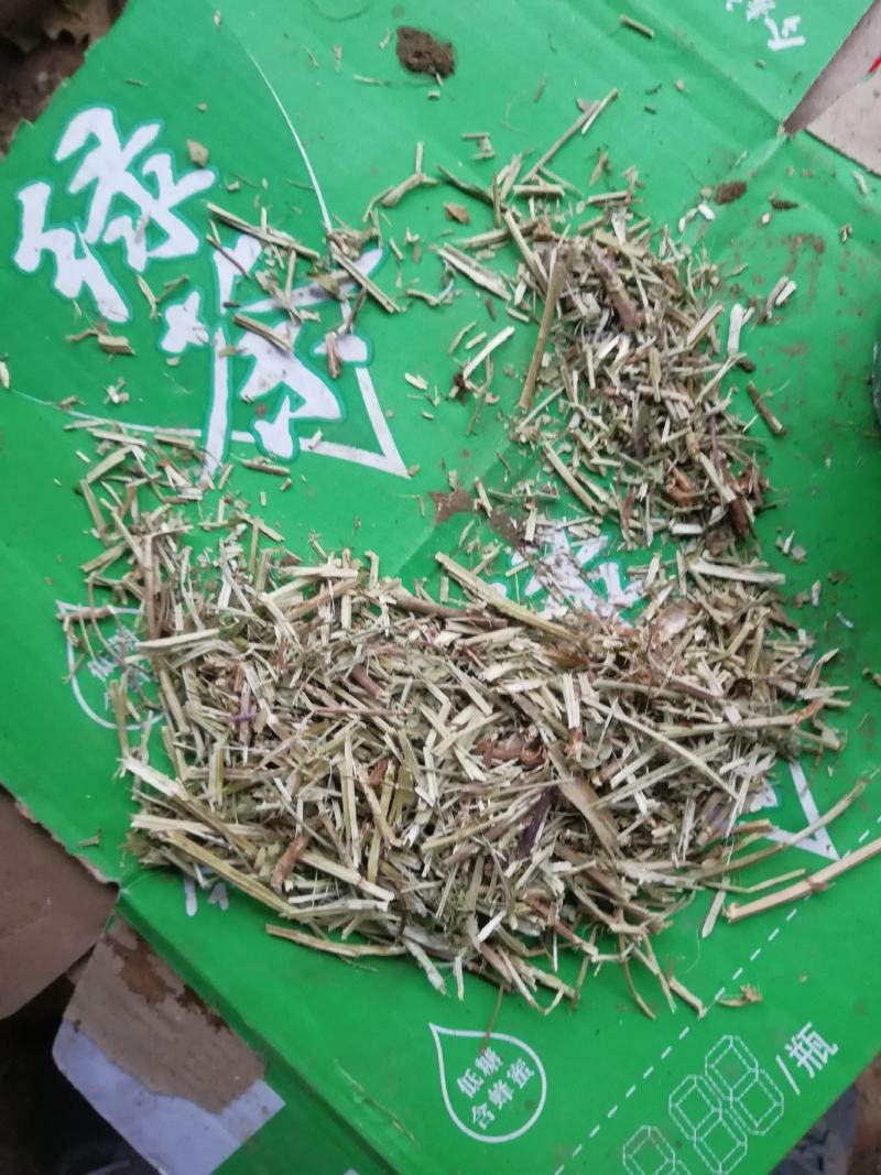 花生秧牛羊最爱吃的草料