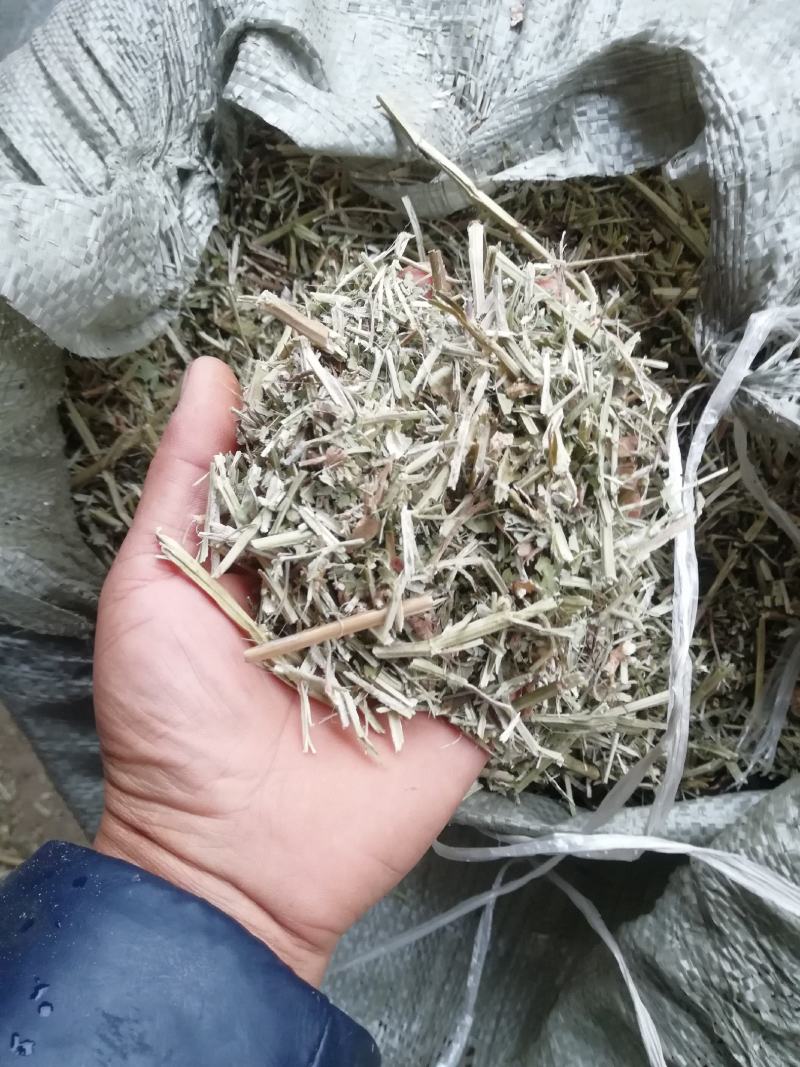 花生秧牛羊最爱吃的草料