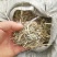 花生秧牛羊最爱吃的草料