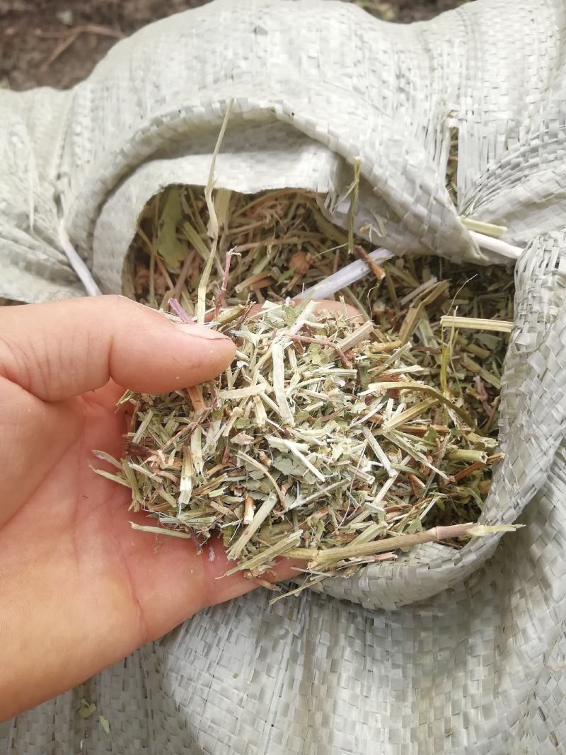 花生秧牛羊最爱吃的草料