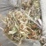花生秧牛羊最爱吃的草料