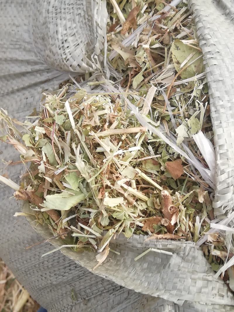 花生秧牛羊最爱吃的草料