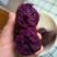 紫薯紫罗兰3两以上丘陵沙地种植商品薯紫心