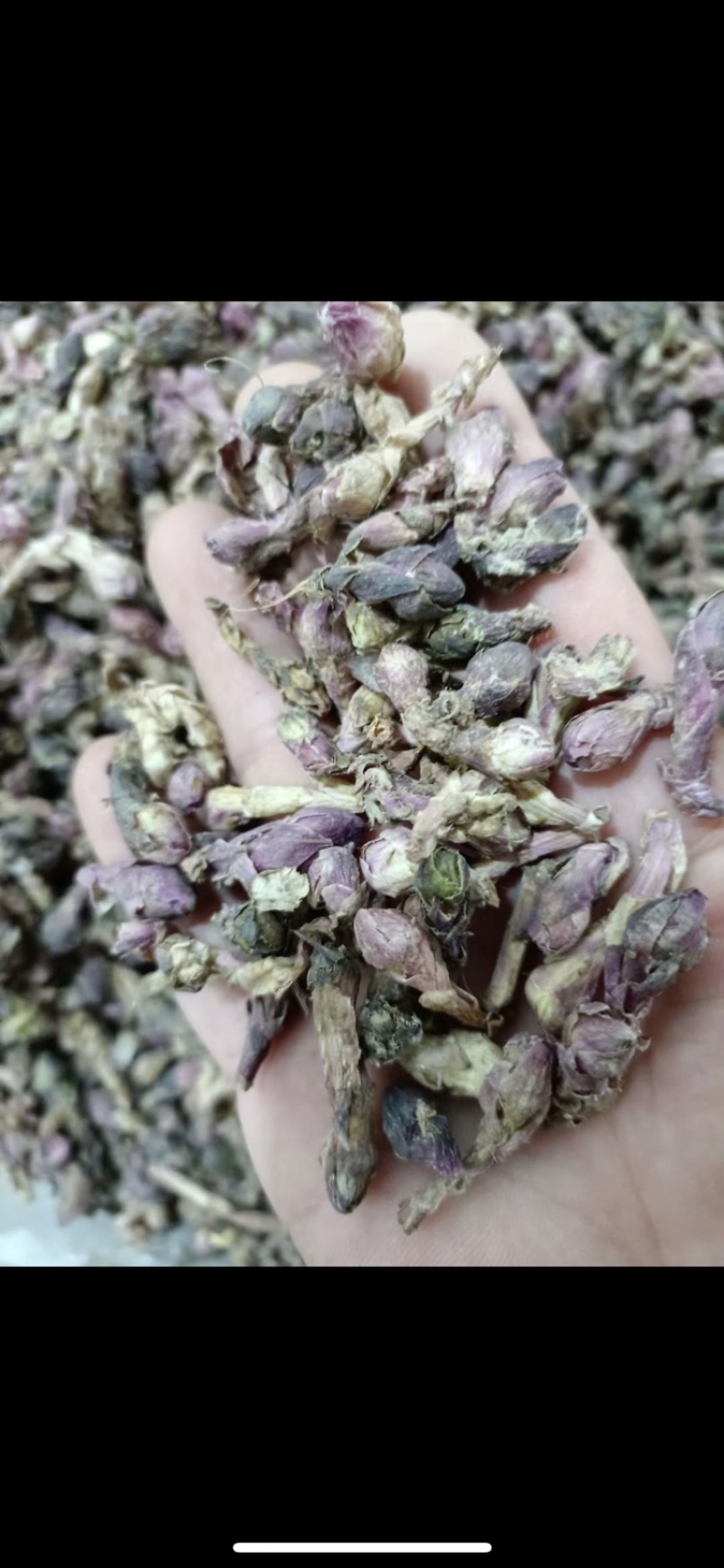 中药材款冬花无硫优品一级冬花好货各种规格供应。