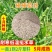 棒棒草种子小龙虾养殖苦梗草低温水草