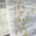 棒棒草种子小龙虾养殖苦梗草低温水草