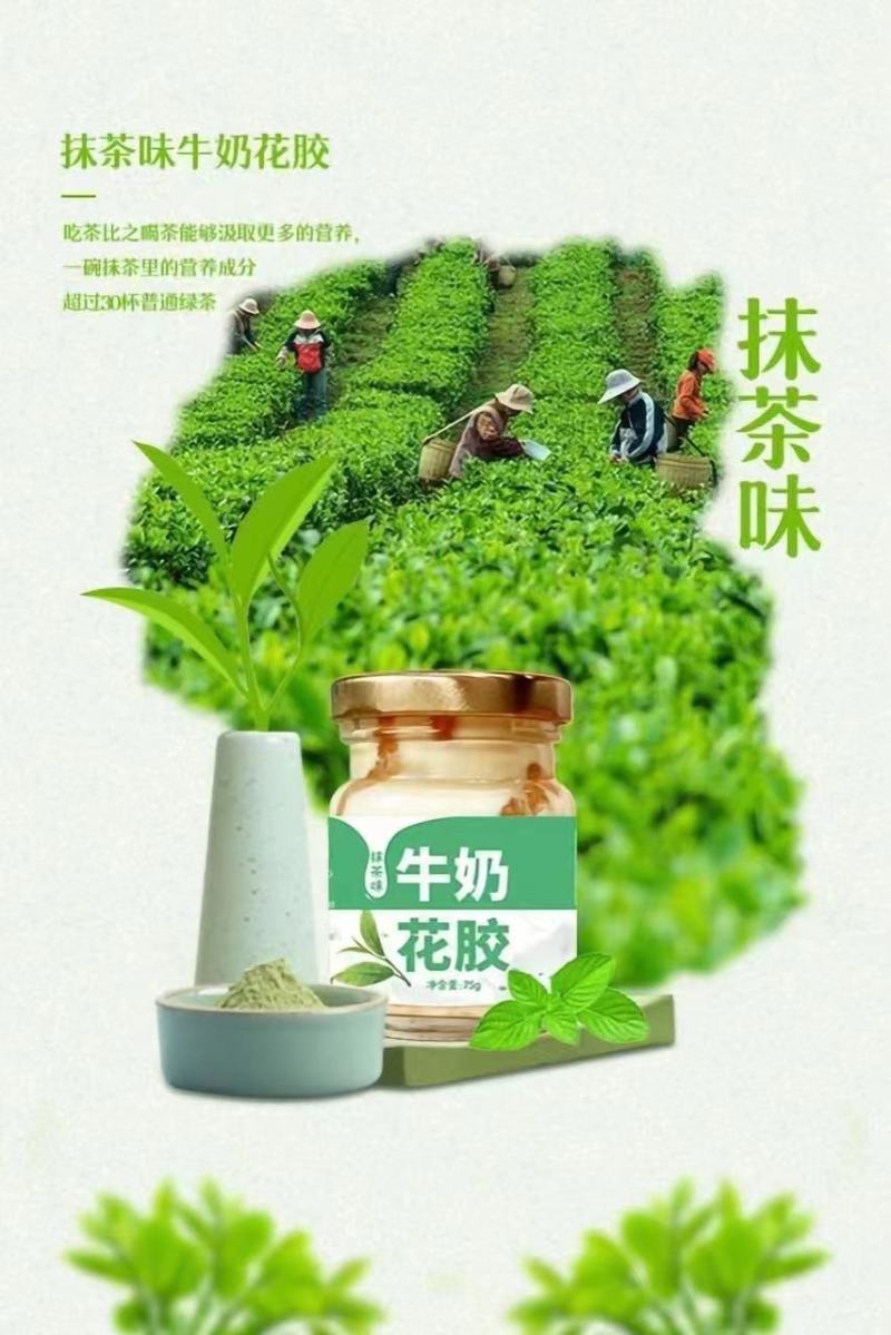 牛奶鱼胶罐头整箱批发一手货源实惠价早晚营养餐零食老少皆宜