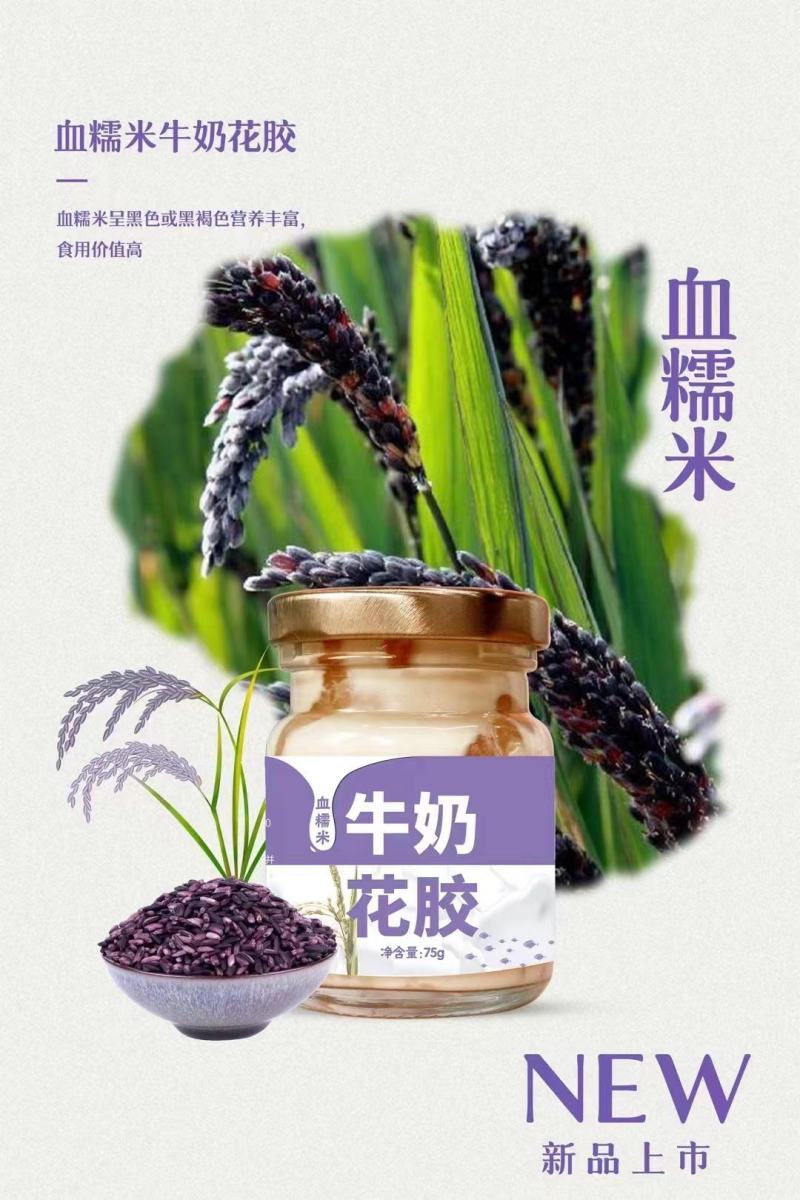 牛奶鱼胶罐头整箱批发一手货源实惠价早晚营养餐零食老少皆宜