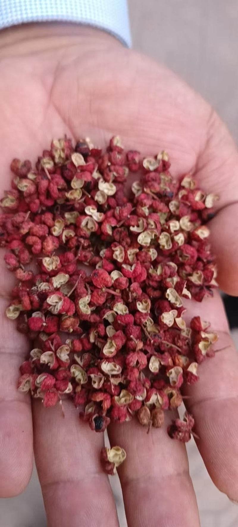 大红袍花椒特级货自家种植，一手货源，麻香味十足