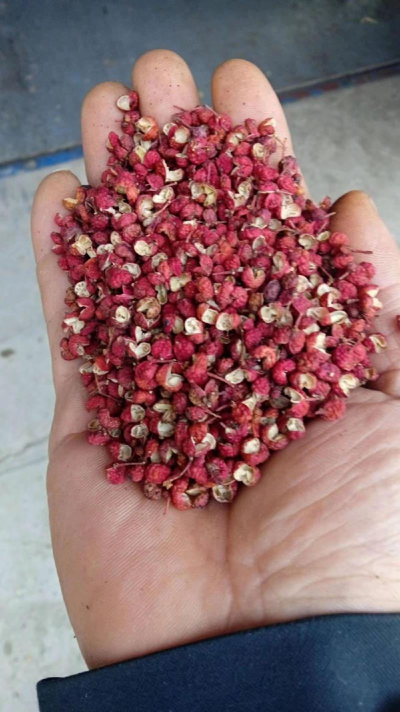 大红袍花椒特级货自家种植，一手货源，麻香味十足