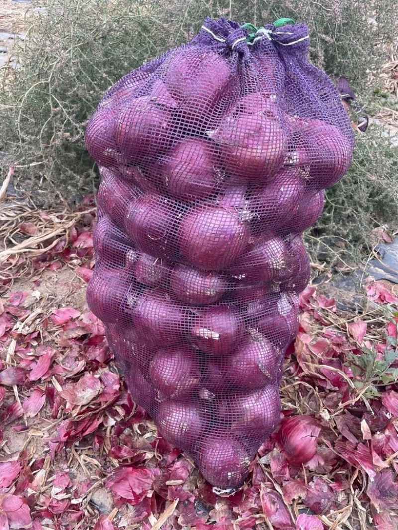 洋葱