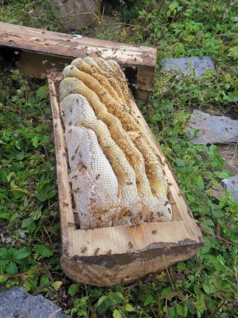 正宗山区原产地蜂蜜
