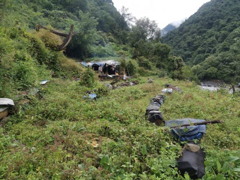 正宗山区原产地蜂蜜