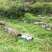 正宗山区原产地蜂蜜